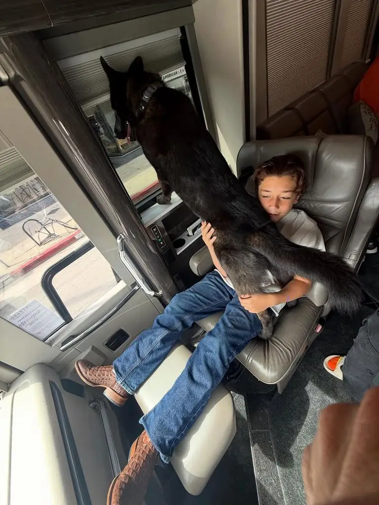 Gavin Rossdale and Gwen Stefani's youngest son Apollo on the tour bus 