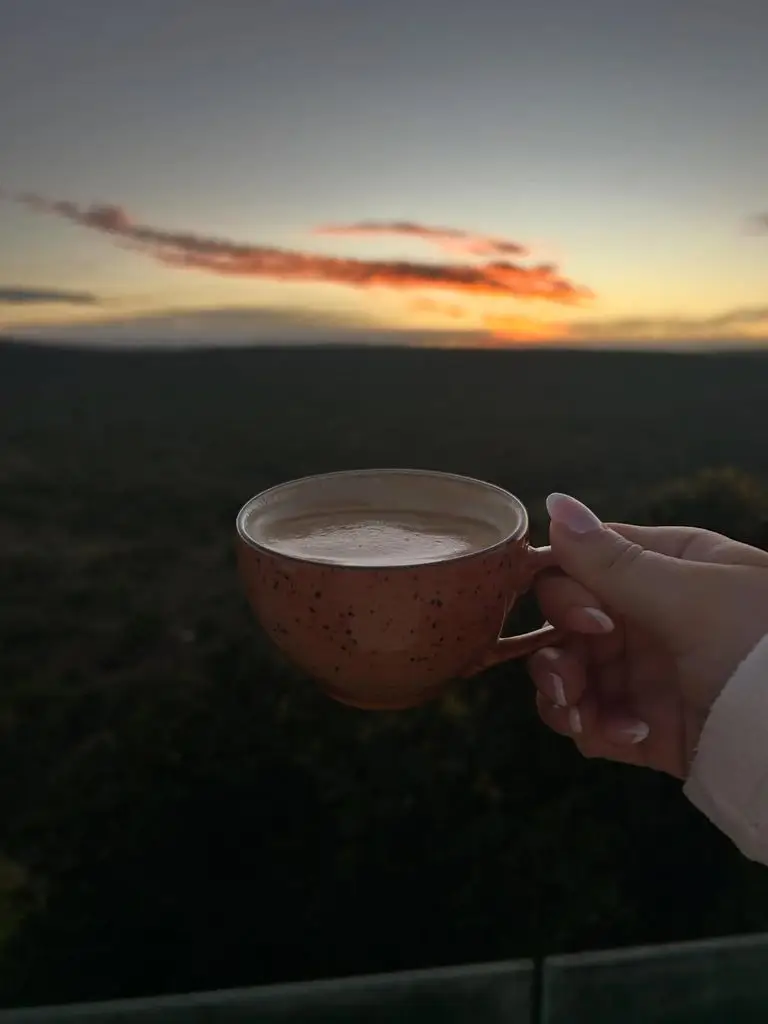 from rhino watching to avoiding malaria 3 A photo of a cup of coffee against a sky