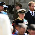 The noise around Prince Harry's visit to the UK is 'the sound of a crown divided'