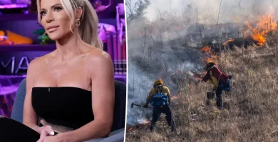 'Real Housewives' Star Reveals Son Was Involved in Starting Wildfire