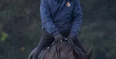 Royal horse driving ban on Prince Andrew lifted after six months 14 Royal horse riding ban on Prince Andrew lifted after six months