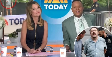 'Right this moment' present intruder noticed on reside TV earlier than storming studio 25 'Today' show intruder spotted on live TV before storming studio