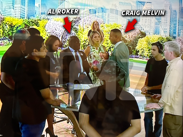 Sub Craig Melvin Al Roker shows today without blur