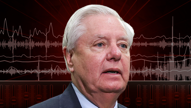 Lindsey-Graham-audio-art-desktop-1