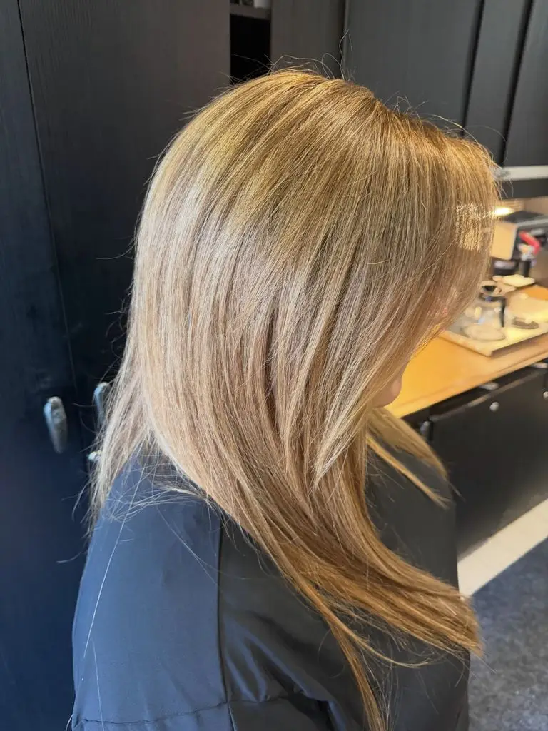 Wilson Philips singer shocks followers with enormous transformation after 'ready 7 years' 2 Carnie Wilson shows off her color and extensions from Syndicate Salon