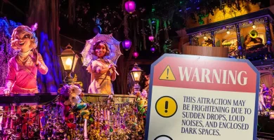 Disneyland warns to not arise throughout log experience, violators can be kicked out 6 Disneyland warns not to stand up during log ride, violators will be kicked out