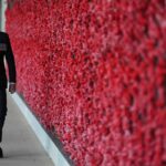 Prince Harry 'wants to mark Remembrance commemorations in November'