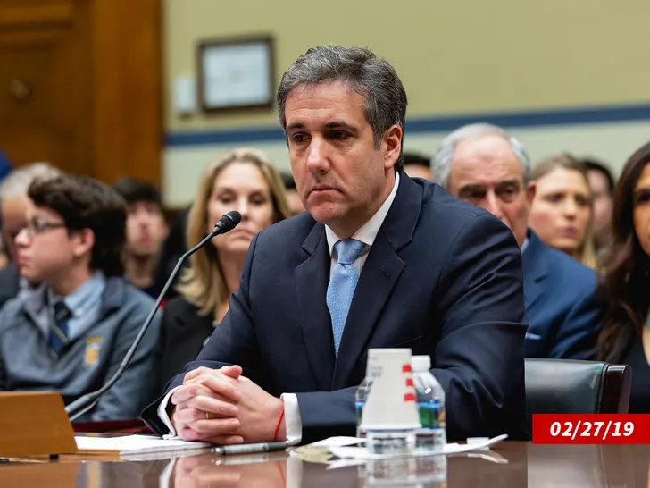 Michael Cohen Court