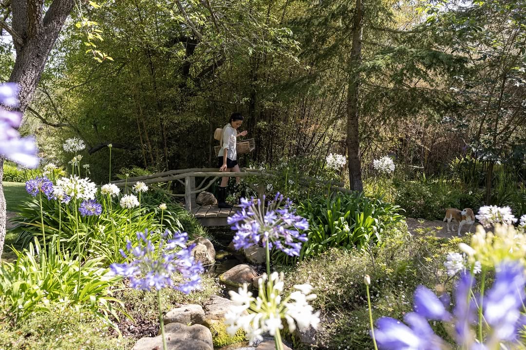 Individuals: the Sussexes “will probably be again” in Montecito, “it wasn’t goodbye ceaselessly” 2 as ever june drop