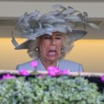 Telegraph: Just like Dolly Parton, Queen Camilla deserves an airport named after her