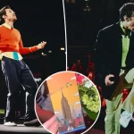 Fans are outraged at Harry Styles over 'crazy' NYC concert ticket with strange nod to 9/11