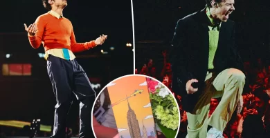 Followers are outraged at Harry Types over 'loopy' NYC live performance ticket with unusual nod to 9/11 7 Fans are outraged at Harry Styles over 'crazy' NYC concert ticket with strange nod to 9/11