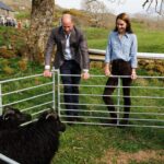 Prince William and Kate scheduled work trip to conflict with Prince Harry's event