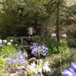 Sussex's Montecito neighbors are really worried about their left-behind koi