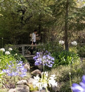 Sussex's Montecito neighbors are really worried about their left-behind koi