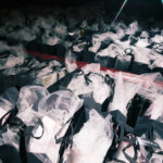 Here's what was inside the ESSENCE Fashion House 2026 VIP gift bag