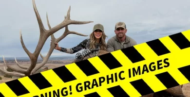 Kristi Noem poses with a lifeless elk throughout an archery looking journey 6 Kristi Noem poses with a dead elk during an archery hunting trip
