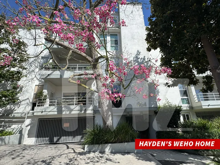 WeHo Home by Hayden tmz wm