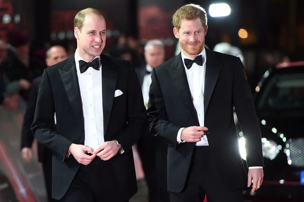 The weird nickname the royal household used for Princess Diana behind closed doorways 1 Prince William, Duke of Cambridge and Prince Harry attend the European premiere of