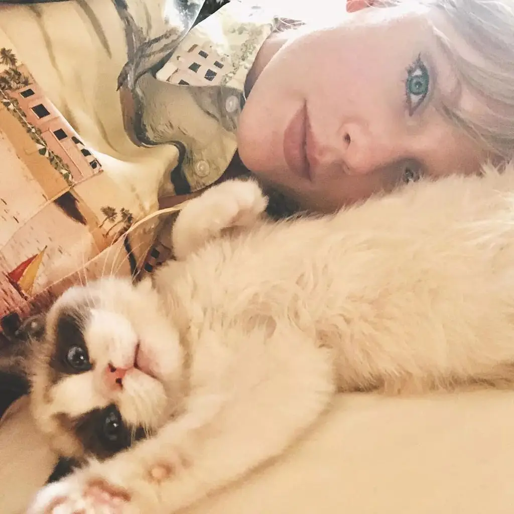 Taylor Swift and Travis Kelce's Gorgeous $5.35 Million Mansion Revealed 3 Taylor Swift lounges next to her cat Benjamin Button