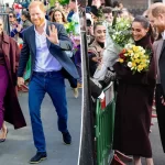 Meghan Markle and Prince Harry make their first official joint outing since moving: 'Nice to be back'