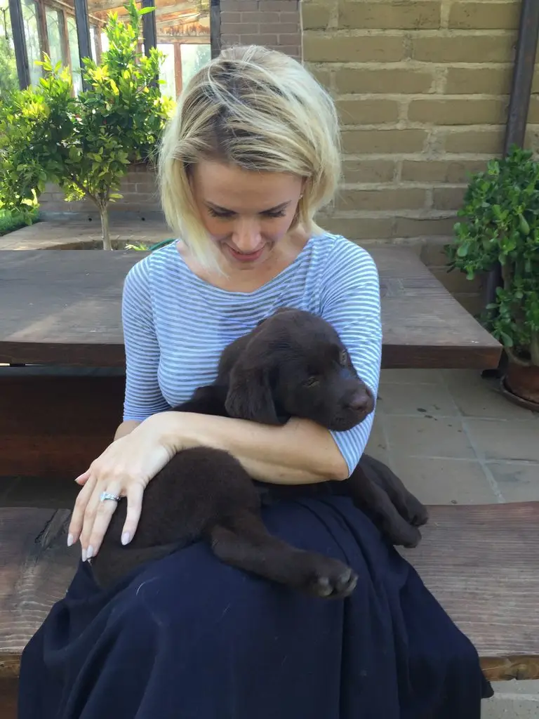 Sara Wyle dog Lily