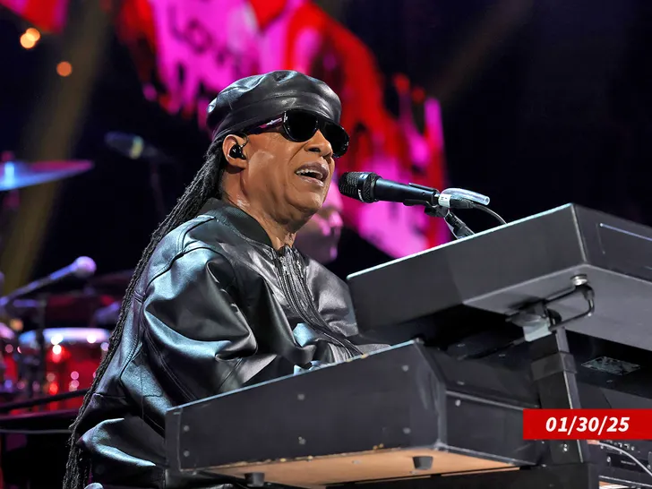Stevie Wonder under Getty Swipe